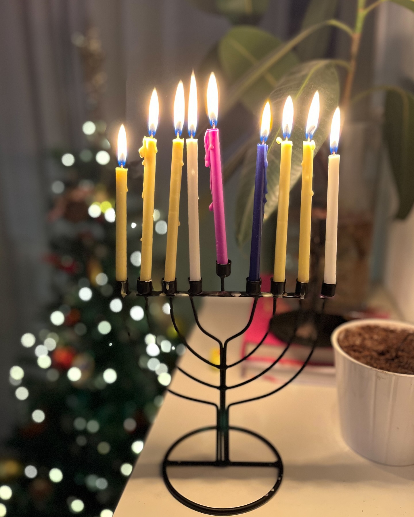 The Eighth day of Hanukkah 🕎
Happy new year. I wish this will be the year we see all the hostages safely return home 🎗️
P.S. Tips on how to keep candles straight for next year are very welcomed!
#hanukah #hanukkah #israel #bringthemhome #bringthemhomenow