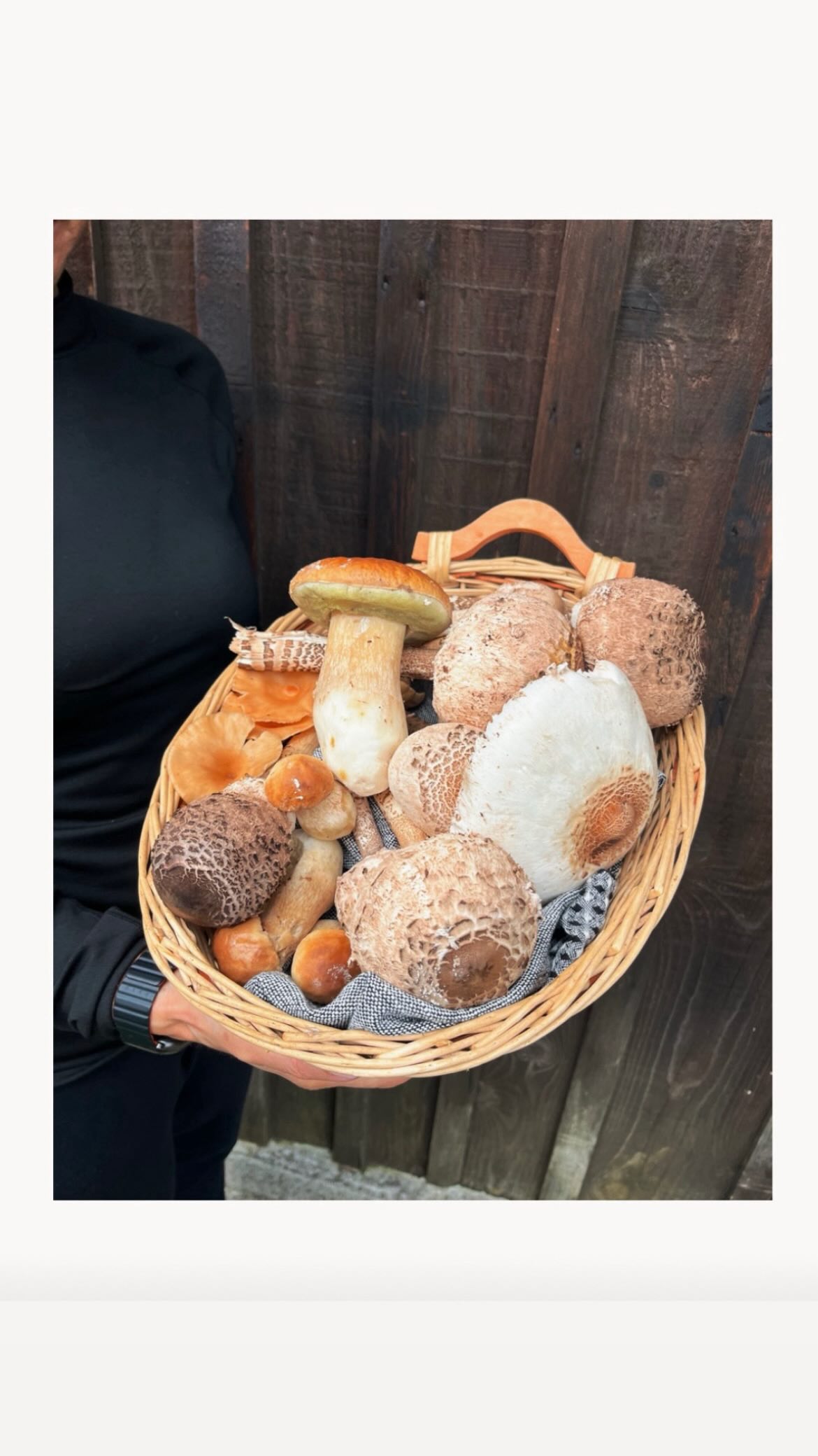 A walk after the rain, baskets full of porcini and ombrelloni, a few cows watching us pass 🐄…and back home, Nonno pan-roasted (almost) all the mushrooms with olive oil and garlic.
#italianfoodblogger #calmfluencer #myitalianflavors #slowlivingforlife #tasteofhome #italianrecipes #italy❤️ #simplelife #easyrecipeideas #italianfoodbloggers #italianfoodlovers #slowliving_ #italianfoodphotography #italianfoodie #italianfoodandwine #italyfood #italiancuisine #food52community #food52 #oggicucinoio#thefeedfeed #savingroomfordessert #thebakedfeed #buzzfeed